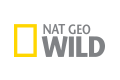 Nat Geo Wild